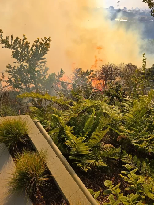 James Woods California fires 