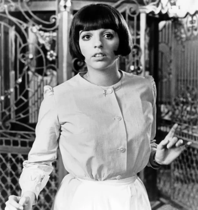 liza Minnelli first husband