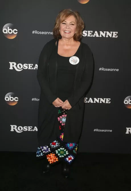 Roseanne Barr song