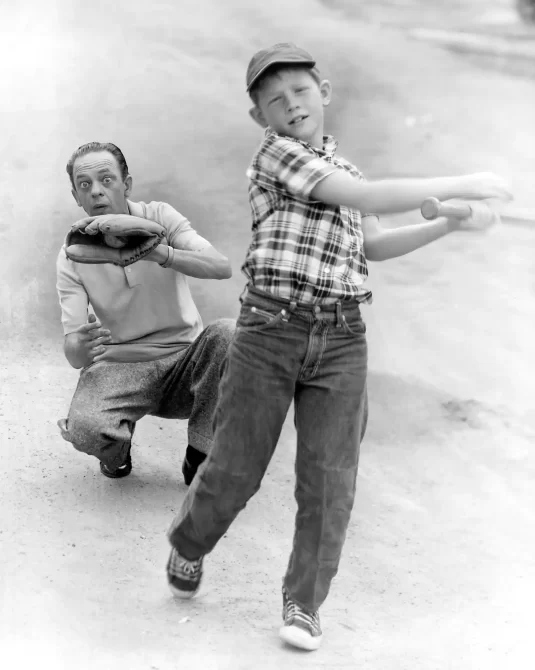 Ron Howard don knotts cousins