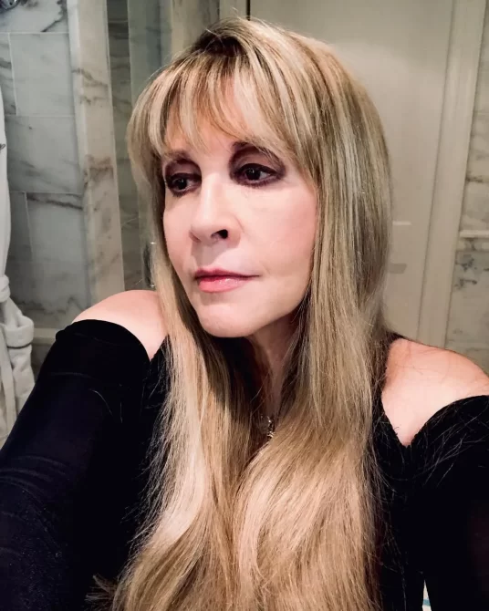 Stevie nicks album cover