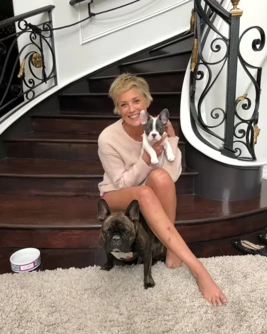 Sharon Stone Joan Collins