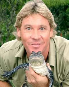 alligator vs crocodile