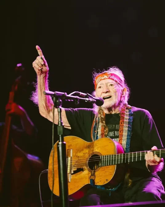 Willie Nelson Bob Dylan