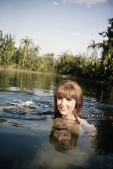 why Tina Louise wanted to quit gilligan’s island