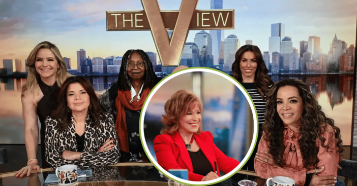 Joy behar The View