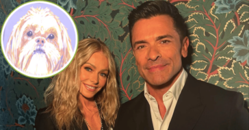 Kelly Ripa's dog