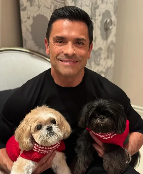 Kelly Ripa's dog