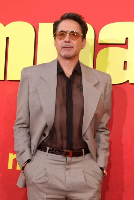 Robert Downey Jr.'s son
