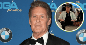 David hasselhoff wheelchair