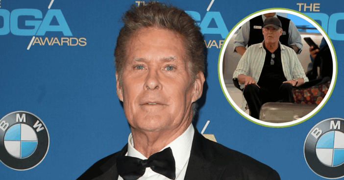 David hasselhoff wheelchair