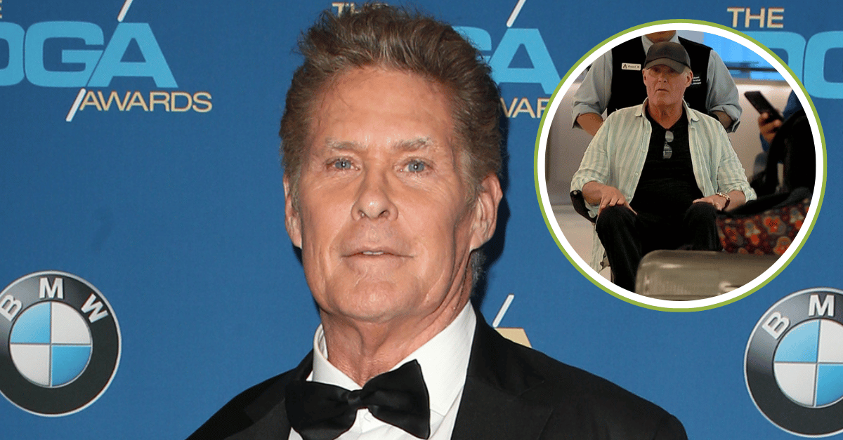 David hasselhoff wheelchair
