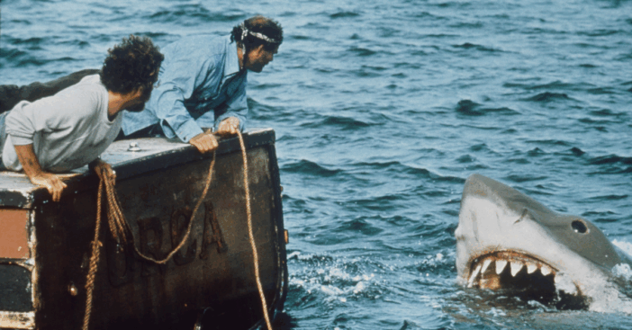 Jaws