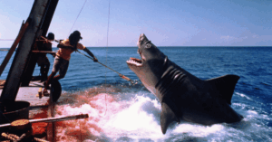 Jaws
