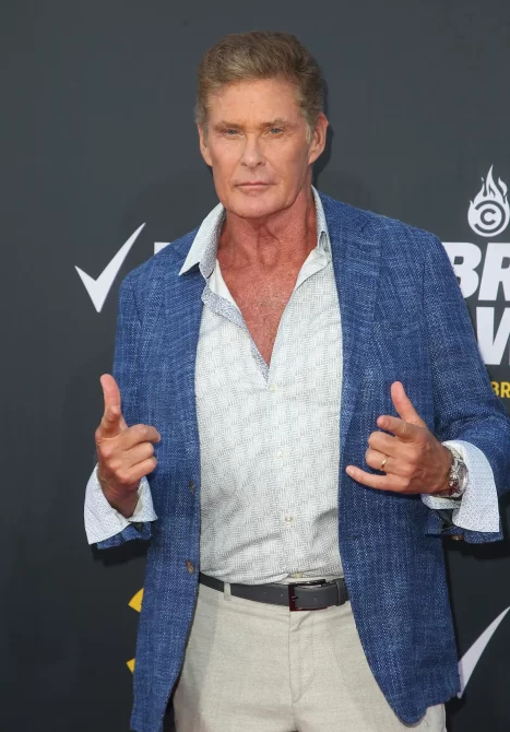 David hasselhoff wheelchair
