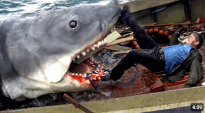 Jaws showing the shark rising from beneath the swimmer