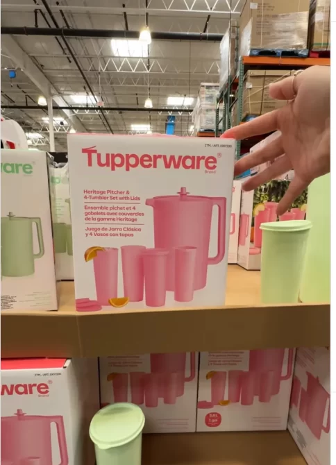 Costco retro Tupperware set
