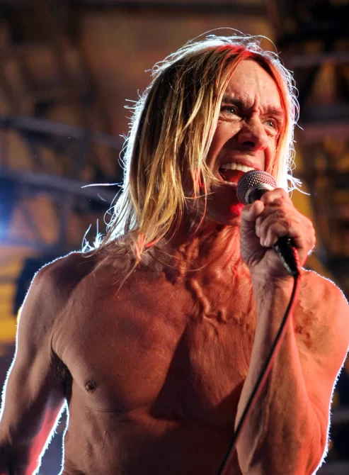 Iggy pop coffin