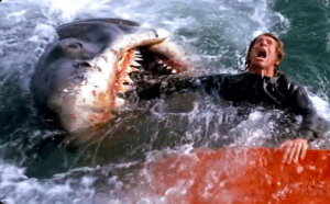 Jaws poster with swimmer and shark fin