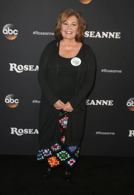 Roseanne Barrr daughter put up for adoption