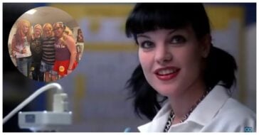 pauley perrette now