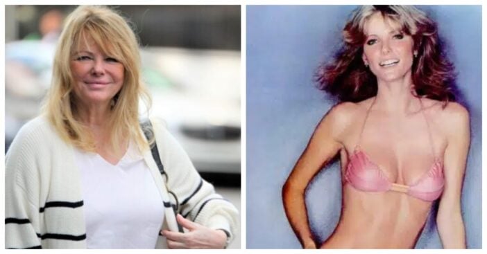Cheryl tiegs now