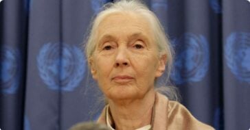 Jane Goodall’s Cause Of Death