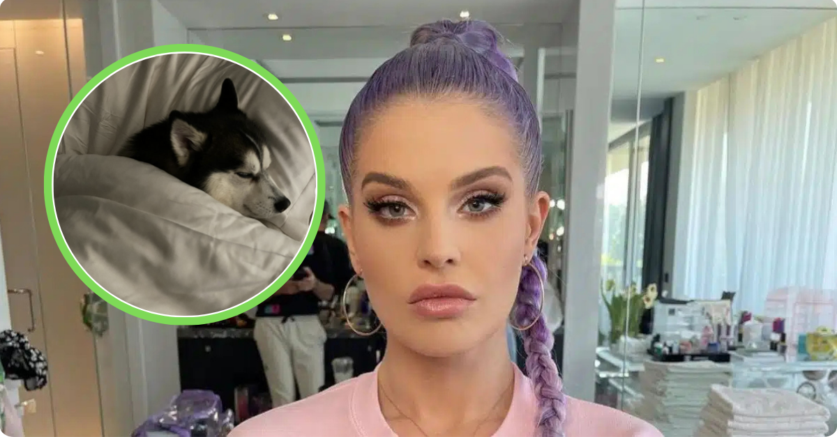 the osbournes dog