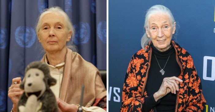 Jane Goodall