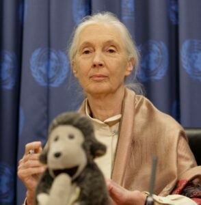 Jane Goodall