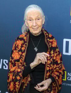 Jane Goodall