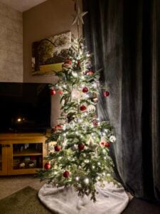 Christmas Tree Prices Remain Steady – Here’s Why This Might Be The Year To Buy A Real Tree