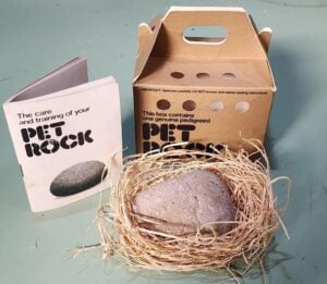How The Pet Rock Became One Of The Most Unlikely Toy Sensations In History