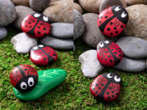 Pet rocks
