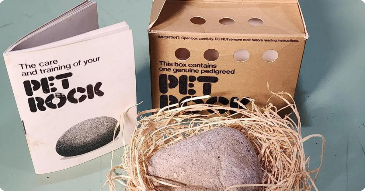Pet Rocks Popular How The Pet Rock Became A Million-Dollar Craze In 1975