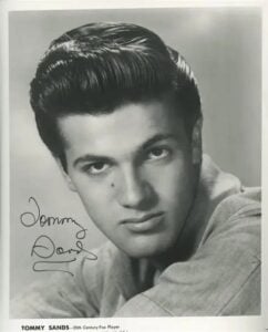Tommy Sands